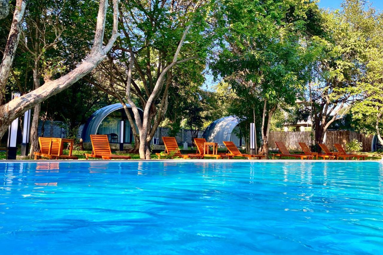 Nivadoo Resort Sigiriya Exterior foto The swimming pool at the resort